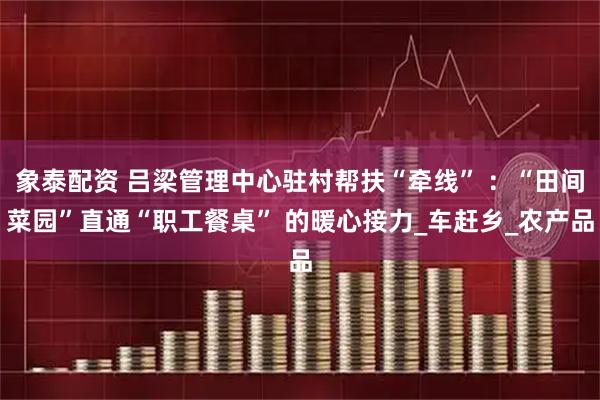 象泰配资 吕梁管理中心驻村帮扶“牵线” ：“田间菜园”直通“职工餐桌” 的暖心接力_车赶乡_农产品