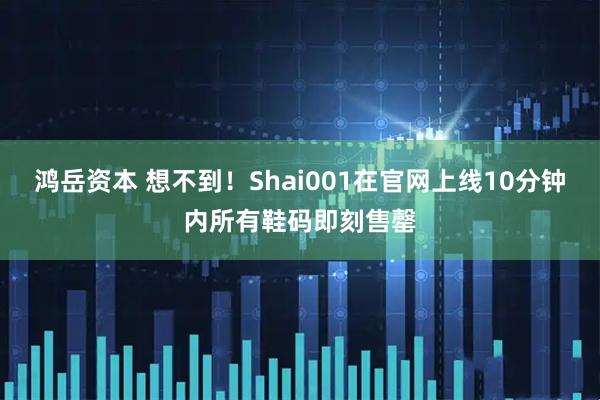 鸿岳资本 想不到！Shai001在官网上线10分钟内所有鞋码即刻售罄